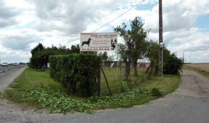 L'élevage de chiens de la horde du Bois perdu