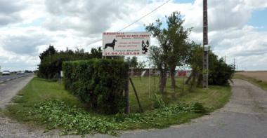 L'élevage de chiens de la horde du Bois perdu