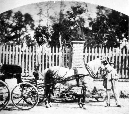 Le cocher de M. DELONDRE ainsi que le cheval Misti avec lequel il eut l'accident